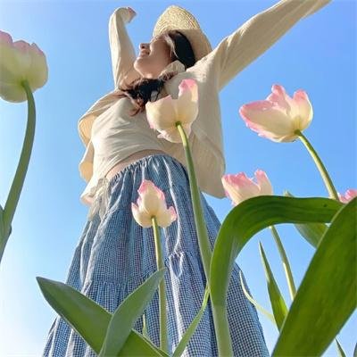 狂花梦路