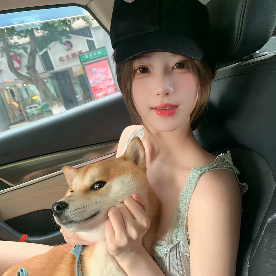 影与雾